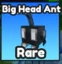 Actual Big Head Ant Index card with its Rare label