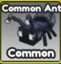 Actual Common Ant Index card with its Common label