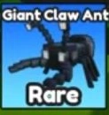 Actual Giant Claw Ant Index card with its Rare label