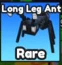 Actual Long Leg Ant Index card with its Rare label