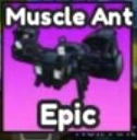 Actual Muscle Ant Index card with its Epic label